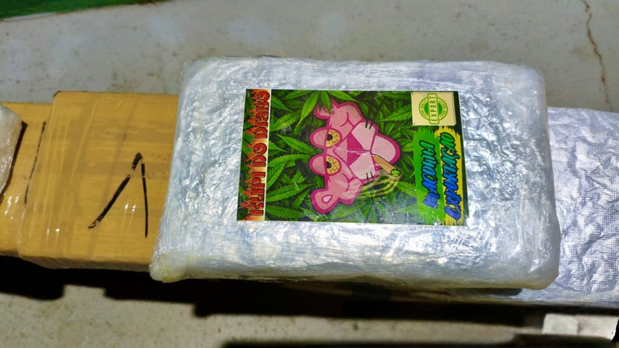 Operação na fronteira apreende cerca de 50 quilos de drogas na zona rural de Nova Mamoré