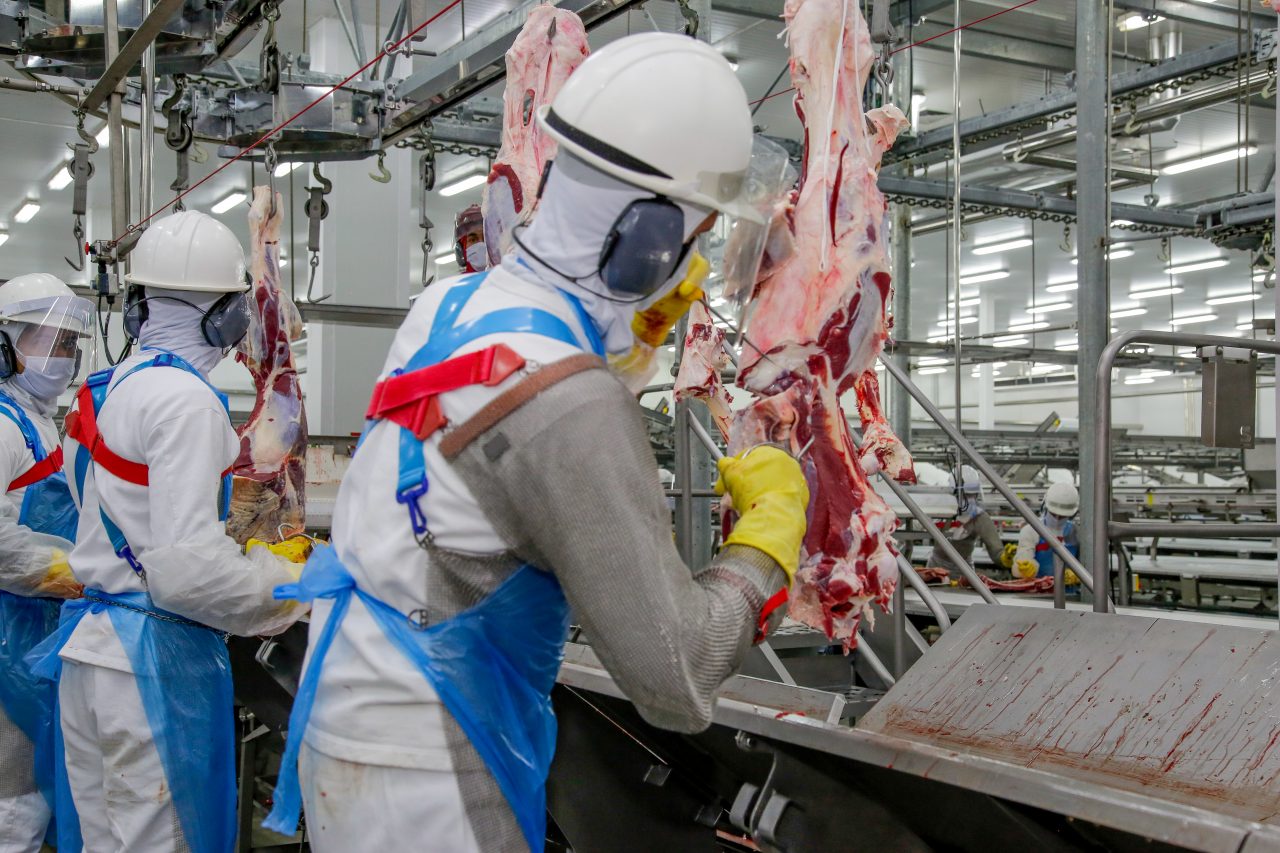 Mais de 2,3 mil vagas de emprego em diversas cidades de Rondônia, confira
