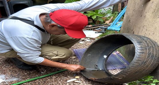 Prefeitura reforça cuidados contra a dengue e orienta população em Porto Velho
