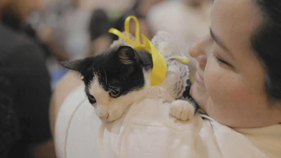 Feira de adoção no Porto Velho Shopping garante novos lares para cães e gatos