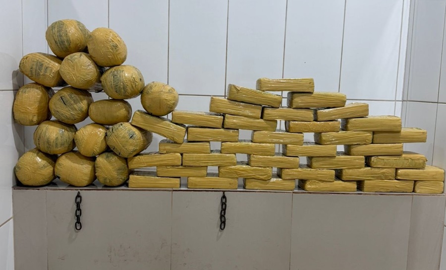 PM apreende mais de 50 quilos de maconha durante operação em Cacoal