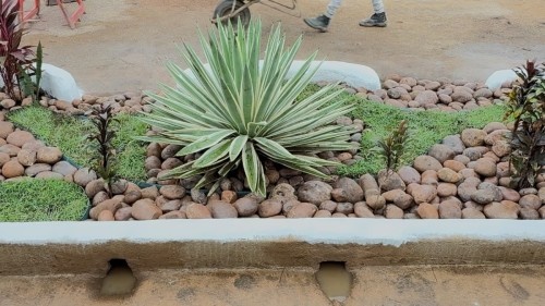 Jardins de chuva reforçam a drenagem urbana e ajudam a reduzir alagamentos em Porto Velho