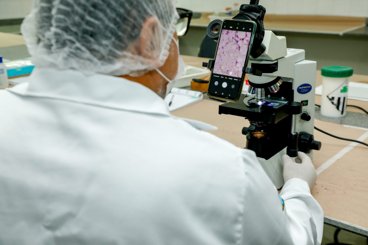 Prevenção à Doença de Chagas é reforçada pela Vigilância em Saúde de Rondônia
