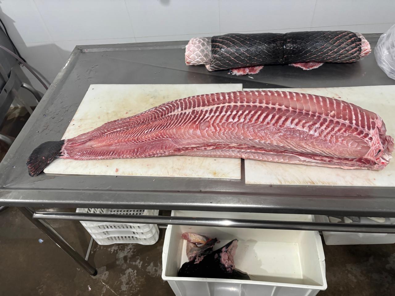 Regularização abre portas para agroindústrias no município de Porto Velho
