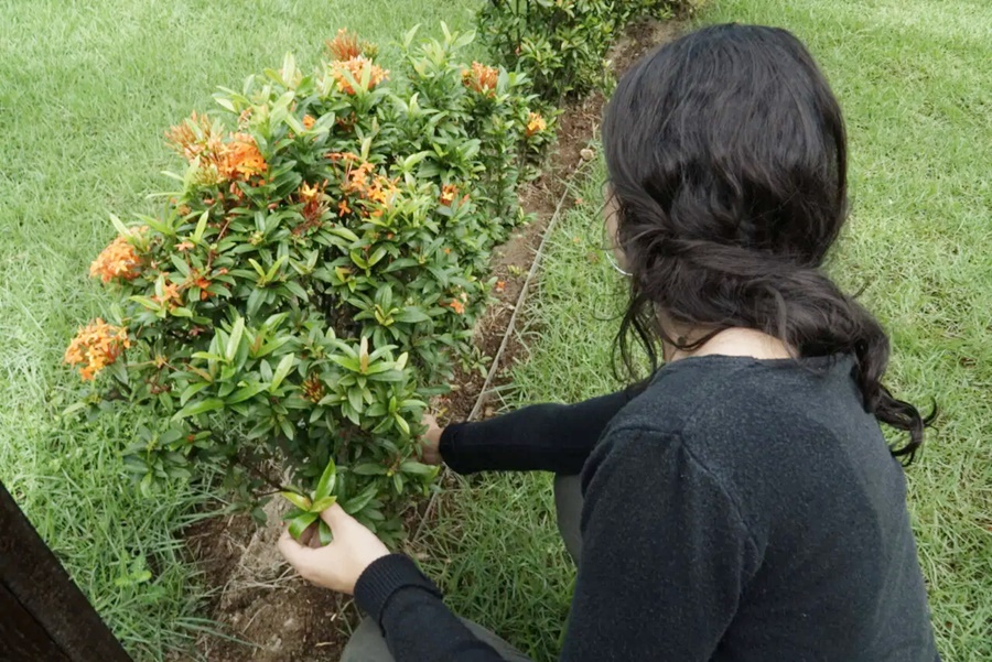 Agevisa promove capacitação sobre acidentes com animais peçonhentos no dia 22 de abril