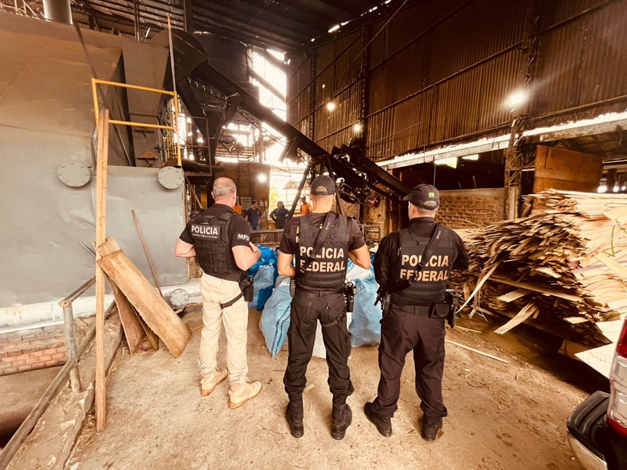 Polícia Federal incinera mais de 710kg de drogas em Ji-Paraná/RO