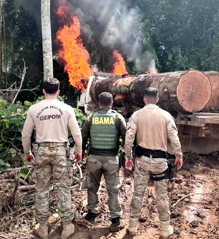 Polícia Federal, Funai, Ibama e Exército Brasileiro combatem crimes ambientais em Rondônia