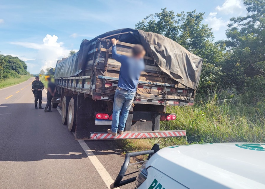 Polícia Ambiental apreende carga de madeira ilegal durante fiscalização na RO-435 em Vilhena