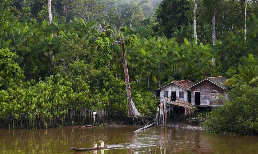Projeto leva tratamento gratuito a doenças negligenciadas no Amazonas
