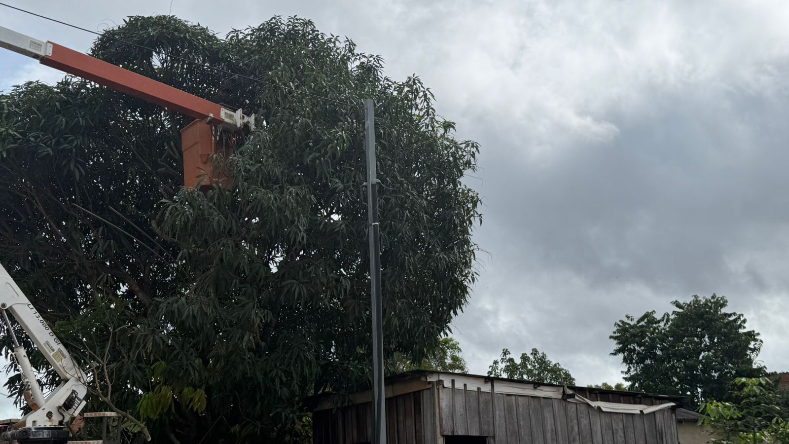 Poda preventiva é realizada em torno de uma residência na zona Leste
