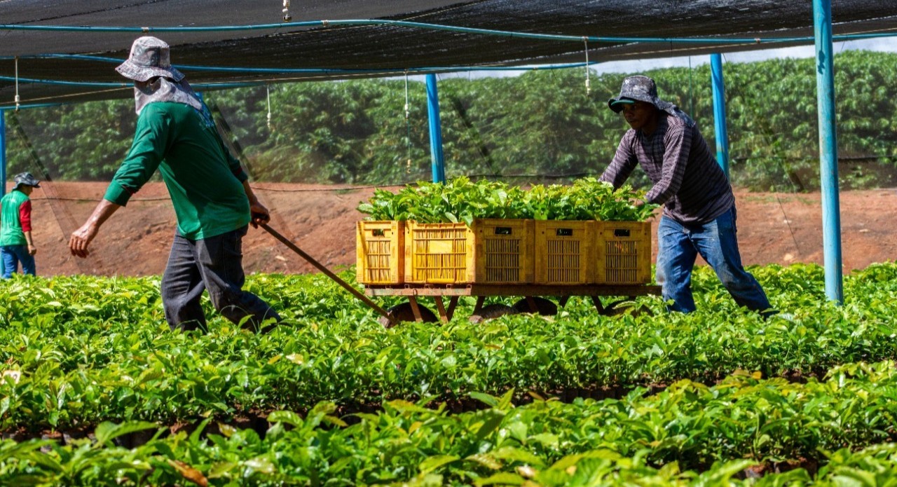 Alan Queiroz destina R$ 50 mil para fortalecer produção rural em São Francisco do Guaporé
