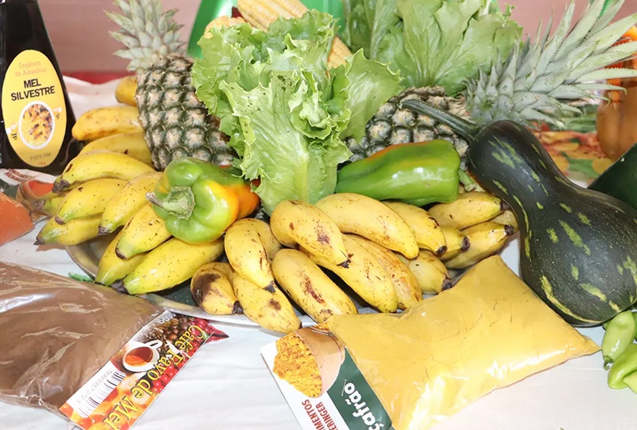 PAA começa entregas em Colorado do Oeste impulsionando produção e segurança alimentar no Cone Sul