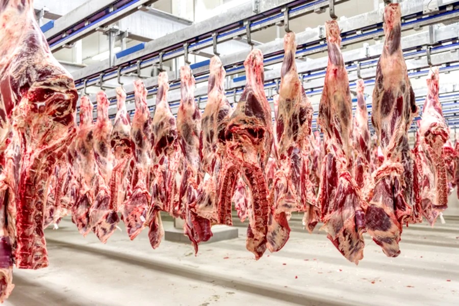 Governo Lula se diz surpreso com veto da União Europeia à carne brasileira