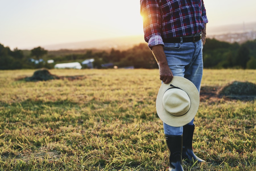 STJ vai fixar tese sobre preço atual em expropriação para reforma agrária