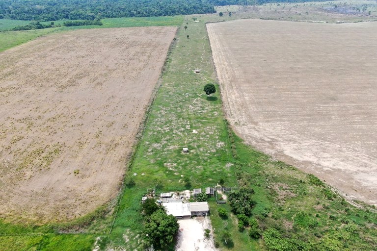 MPF processa produtores de soja por contaminação de indígenas e degradação ambiental 