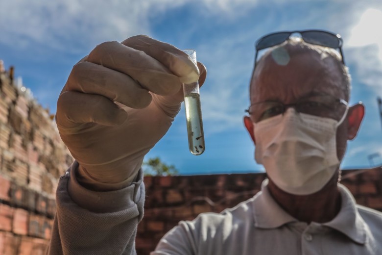 Prefeitura intensifica combate à dengue e mantém Porto Velho sem óbitos pela doença em 2026
