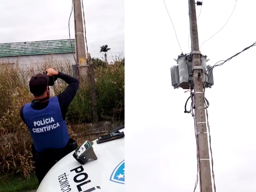 Empresa de leite é flagrada furtando energia suficiente para abastecer 100 casas em RO