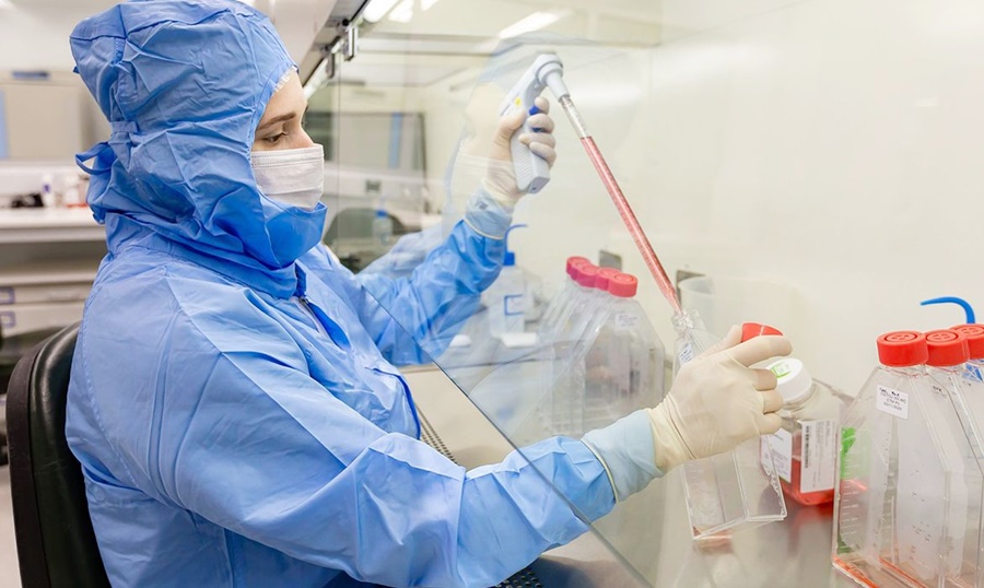 Estudo usa células-tronco contra complicações do transplante de medula