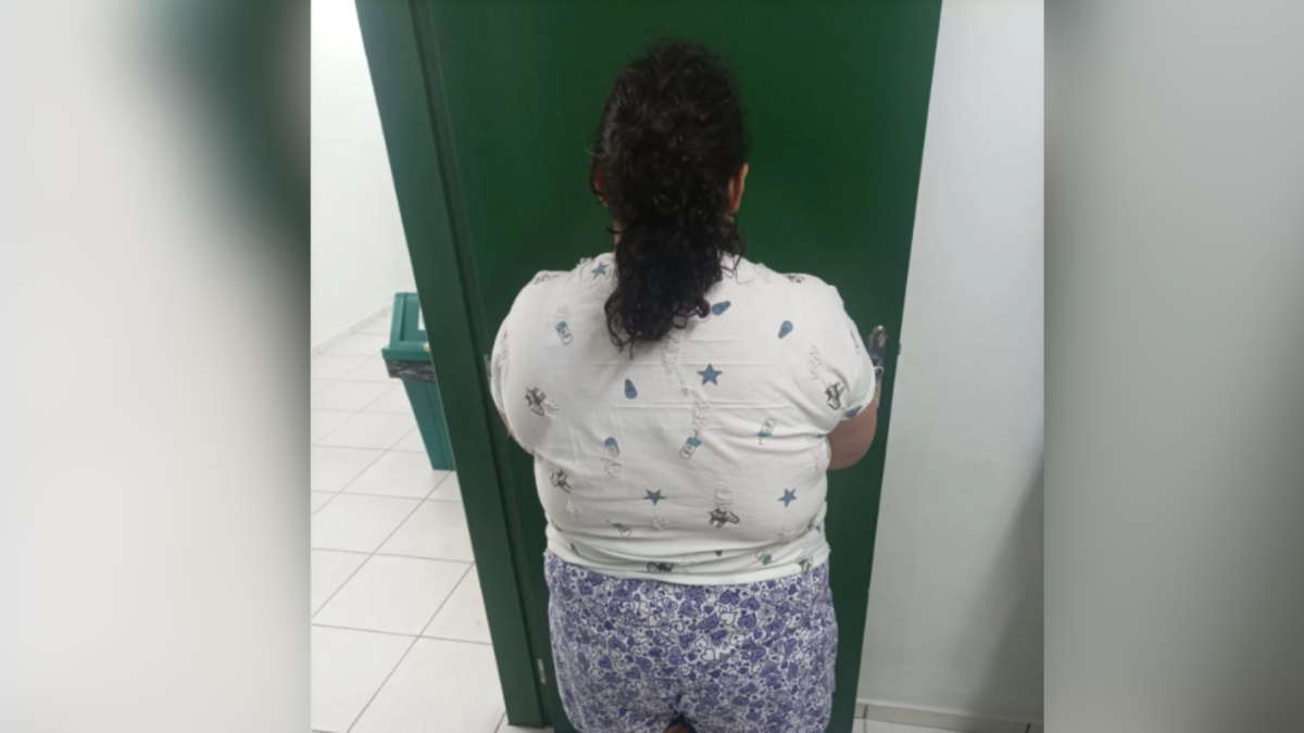 Mulher de 37 anos finge ser adolescente de 12 e é presa um ano após adoção em SC
