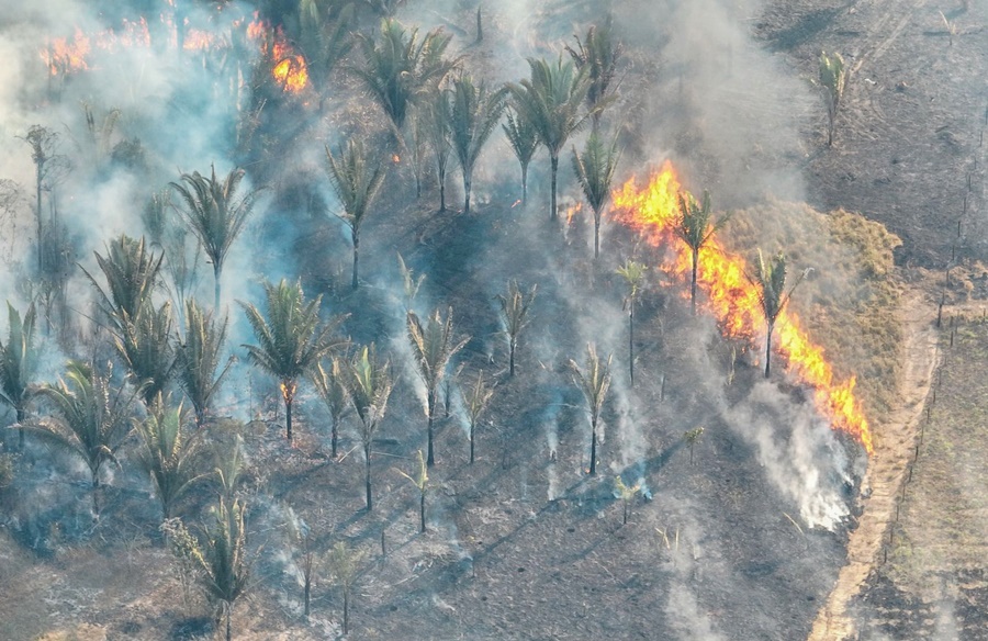 Fenômeno natural El Niño aumenta risco de queimadas durante a estiagem em PVH