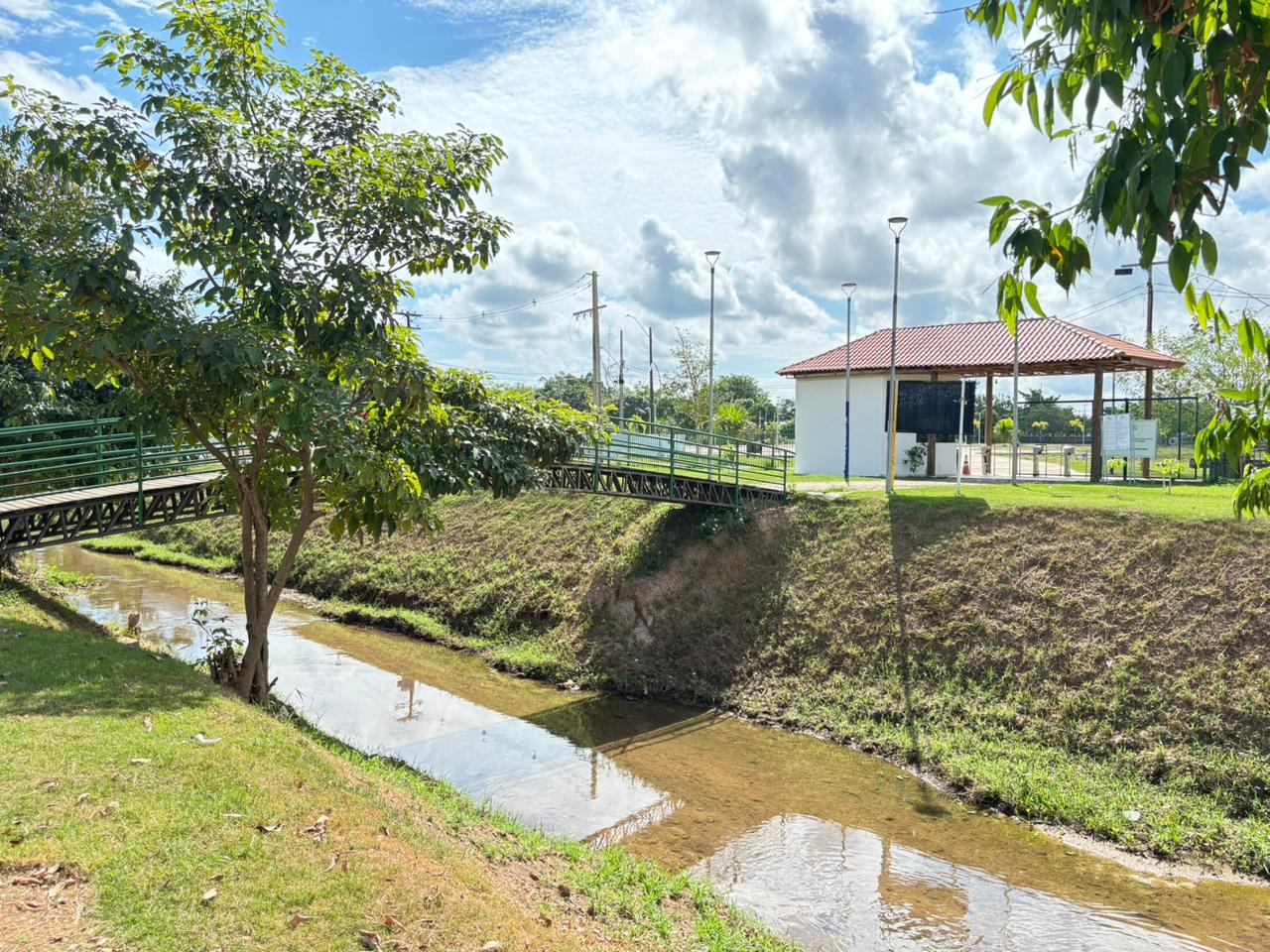 Após limpeza da Prefeitura, peixes voltam a aparecer no Igarapé do Botinha

