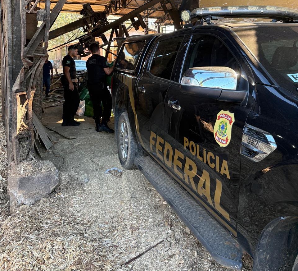 PF incinera 860 quilos de drogas e ultrapassa 1,5 tonelada destruída em 2026