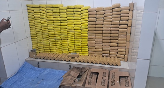 PM localiza depósito com mais de 320 quilos de drogas e prende casal em Rondônia