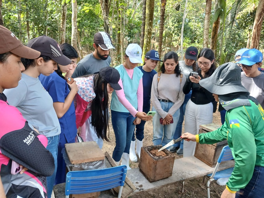 Visita técnica aproxima acadêmicos da prática da apicultura e meliponicultura em propriedades 