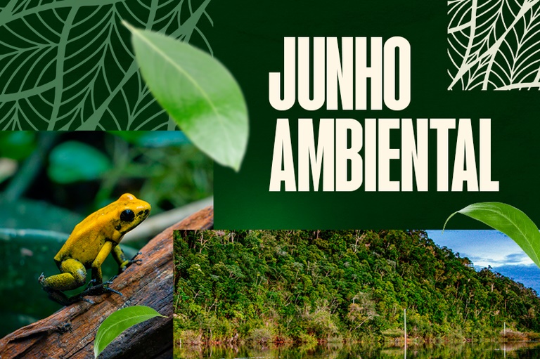 MPF/RO obtém decisão que obriga estado a proteger antigo território da Floresta Nacional do Bom Futuro