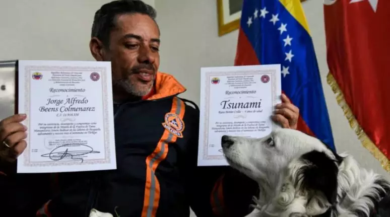 Conheça cão encontrado nas ruas que ajudou no resgate de vítimas do terremoto na Venezuela