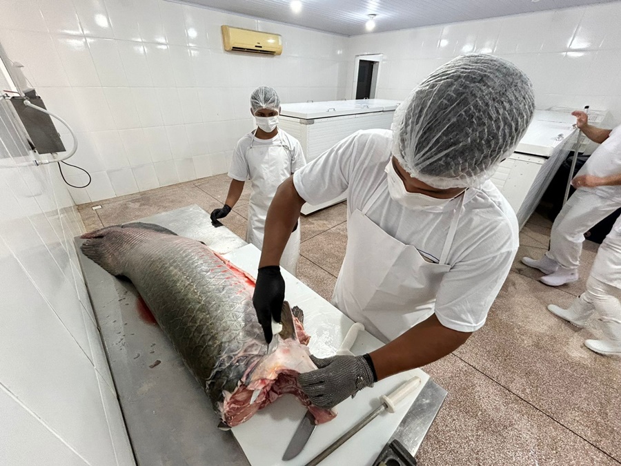 Prefeitura fortalece cadeia do pescado e garante mais segurança alimentar para consumidores
