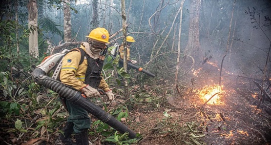 Inscrições para brigadistas do Corpo de Bombeiros encerram na terça-feira
