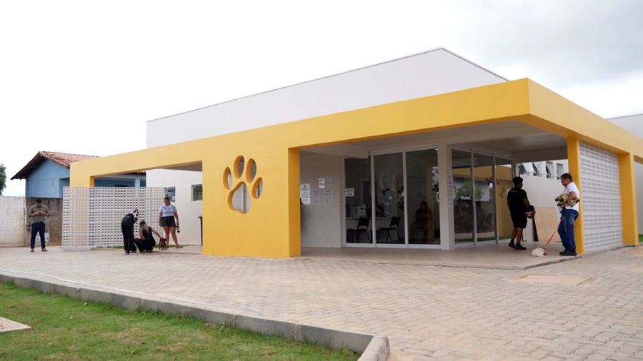 Clínica do Bem-Estar Animal fecha primeiro semestre com mais de 250 adoções e 6,6 mil atendimentos
