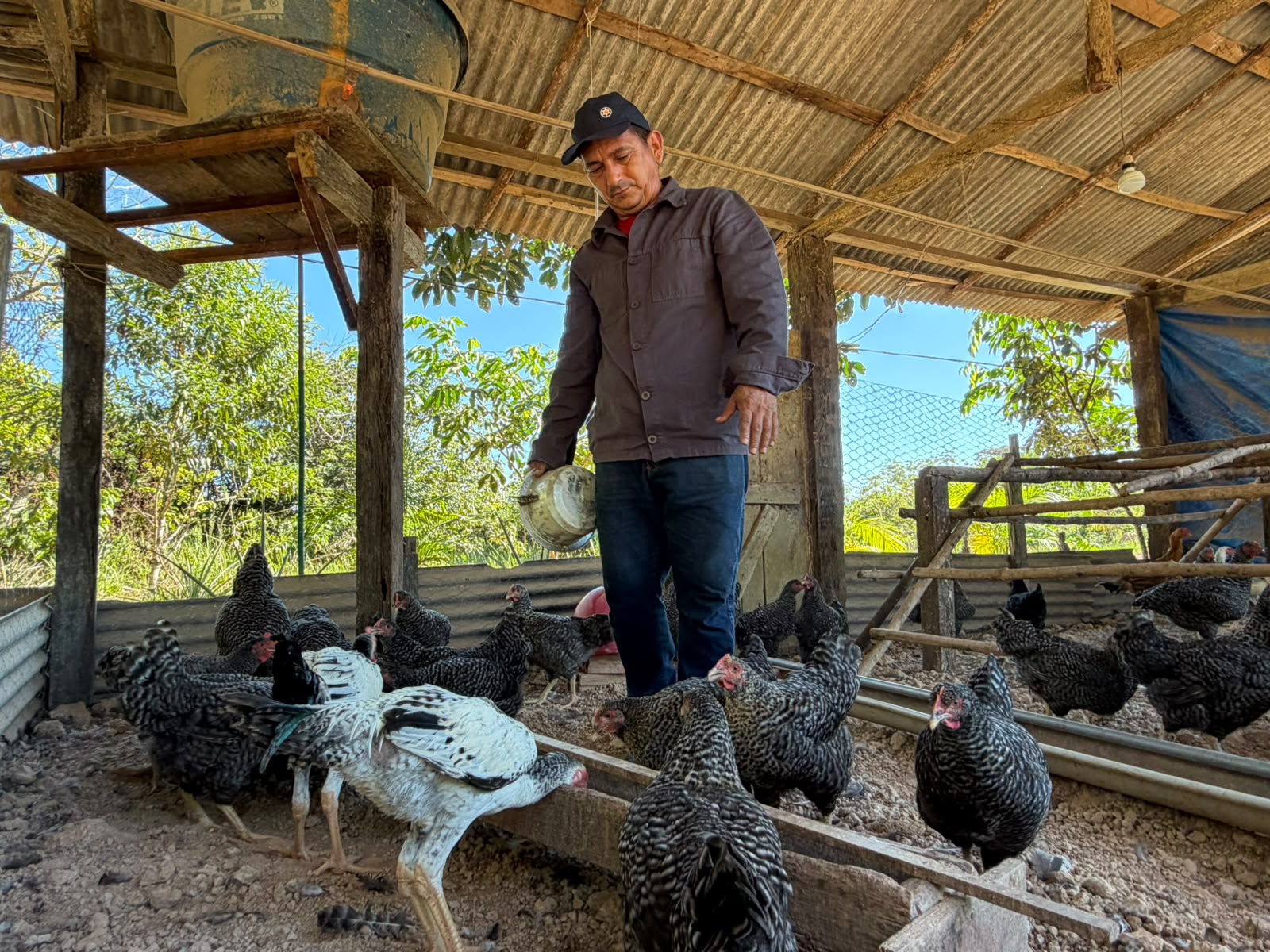 Investimentos na agricultura familiar transforma vidas e fortalece a economia em Porto Velho
