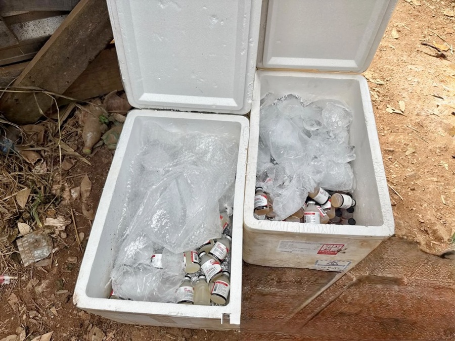 Operação apreende 400 vacinas veterinárias clandestinas em Guajará-Mirim