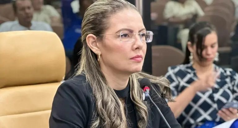 Câmara aprova projeto de Sofia Andrade que protege instrumentos de músicos
