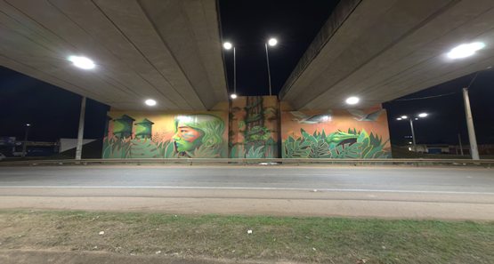 Porto Velho passa a ter os cinco viadutos totalmente iluminados pela primeira vez 
