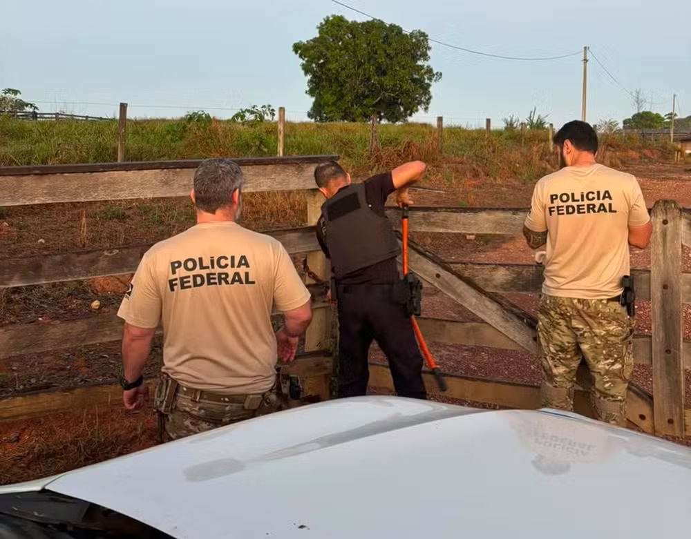 PF deflagra operação contra suspeito de causar R$ 469 milhões em danos ambientais 