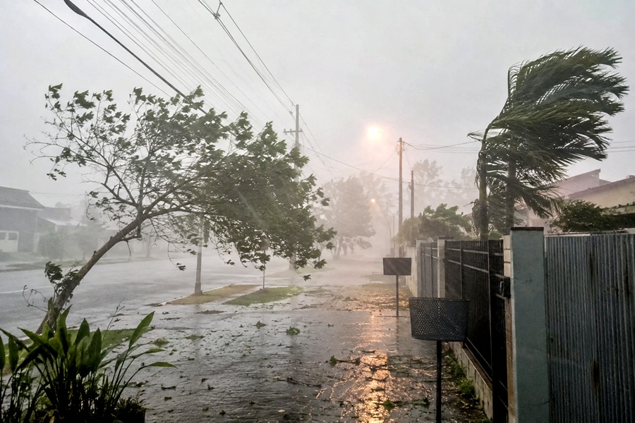 Temporal com fortes rajadas de vento atinge zona Sul de Porto Velho