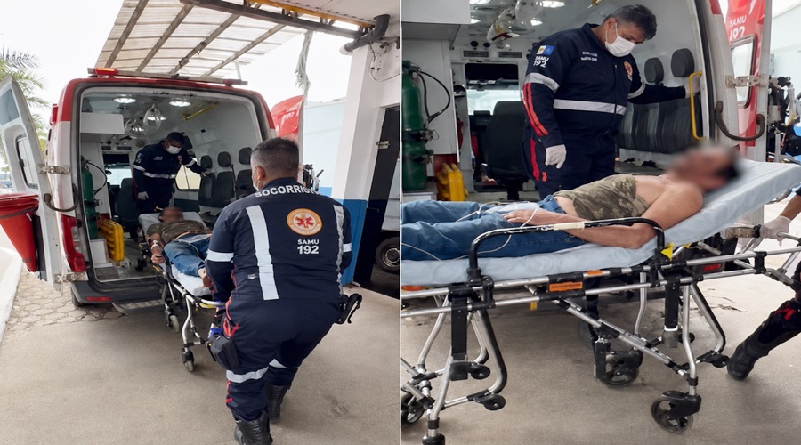 Onça mata égua e homem fica ferido ao tentar escapar em Porto Velho