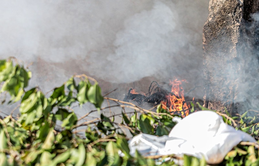 Combate às queimadas é intensificado durante período de seca em Porto Velho
