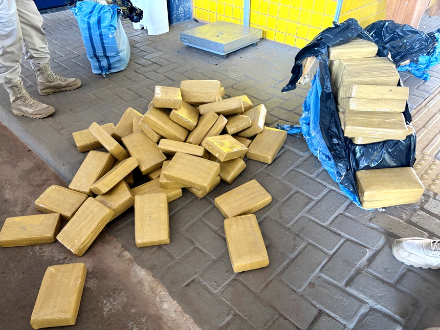 Mais de 200 kg de skunk são encontrados escondidos em carga de paletes na BR-364 em Vilhena