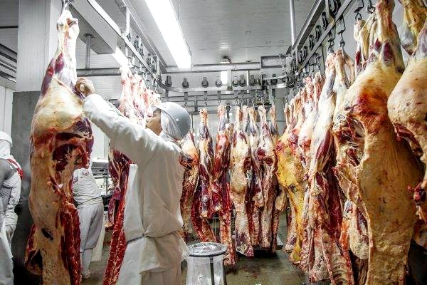 MPF aponta irregularidades em 260 mil bovinos abatidos pelo Frigon, em RO