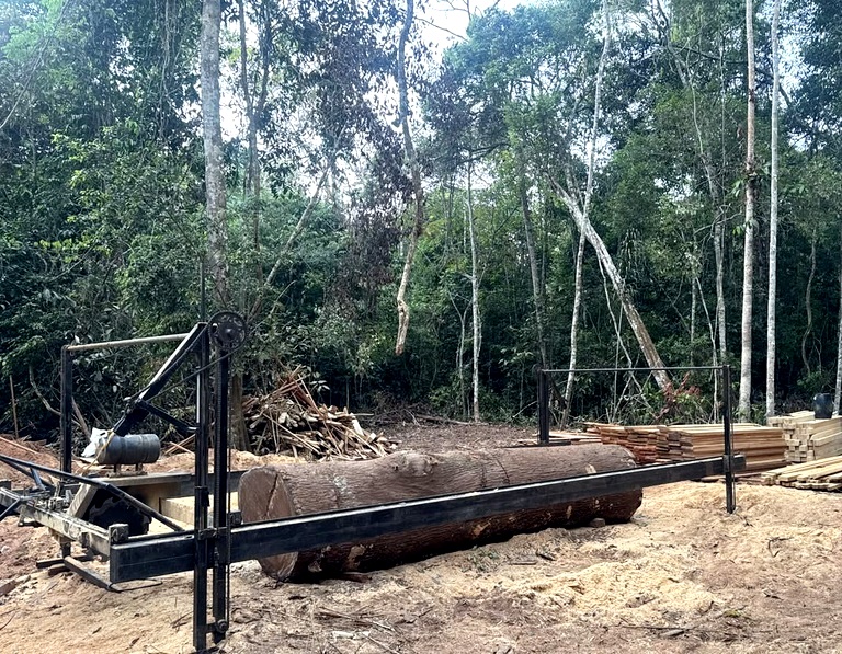 PF destrói serrarias e acampamento usados na extração ilegal de madeira em terra indígena de RO