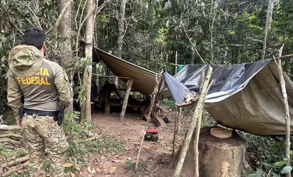 PF combate extração ilegal de madeira e destrói acampamento em Terra Indígena de RO