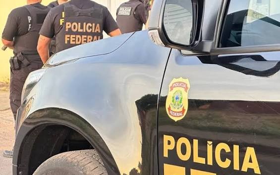 PF realiza operação contra extração ilegal de madeira em terra indígena em RO