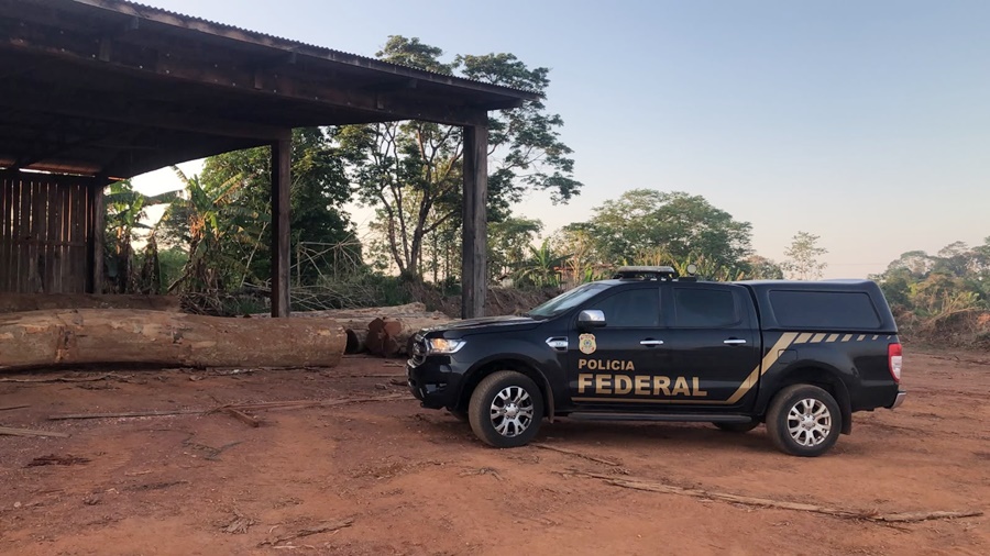 Possível esquema para “esquentar” madeira ilegal é investigado em Rondônia