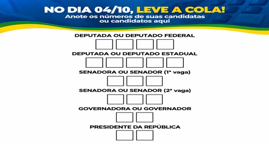 Eleições 2026: veja a ordem de votação na urna neste domingo