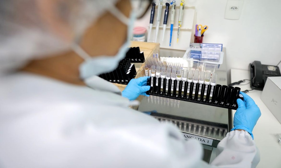 Malária: Anvisa autoriza teste em humanos de vacina 100% brasileira
