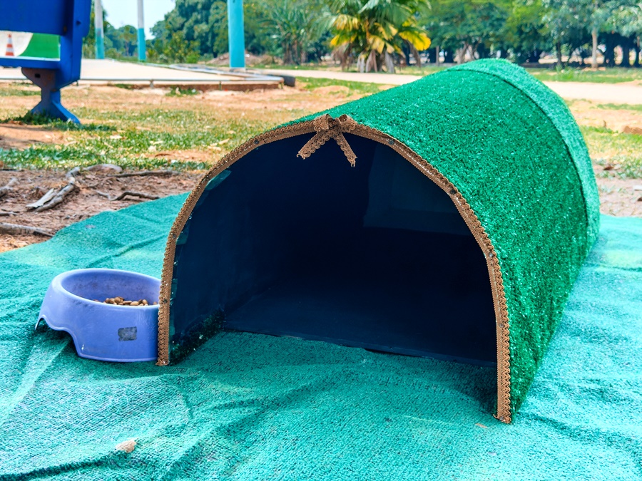 Prefeitura de Porto Velho instala abrigos para gatos em espaços públicos